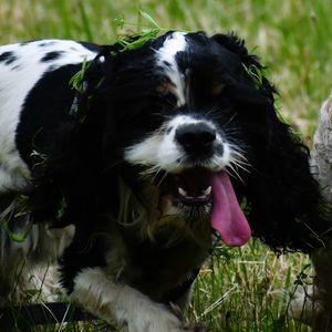 Meet your Posher, Andy